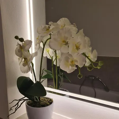 Appartement Fuenfbettzimmer Mit Etagenbad Im Hostel, Innenstadt *